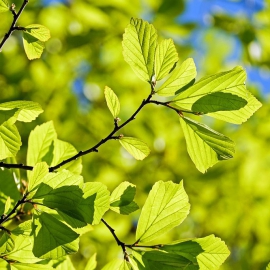 什么是绿色产品Green Product?