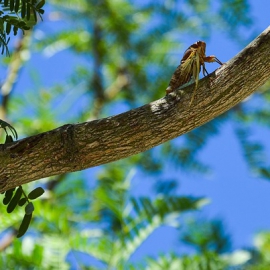 有了合得妙耐高温食物饮料包装胶，炎炎夏日又何妨？