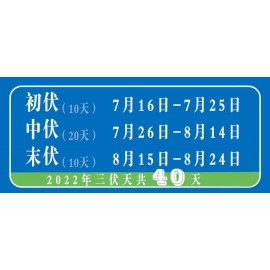 夏日炎炎，事实是谁先『中暑』？包装热熔胶也会 “中暑” 吗？